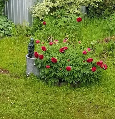 Ferienwohnung-wald * Wald (Baden-Wurttemberg)