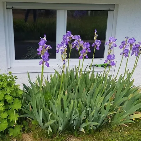 Ferienwohnung-wald Appartement *