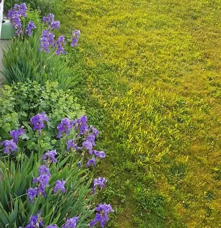 Appartement Ferienwohnung-wald *