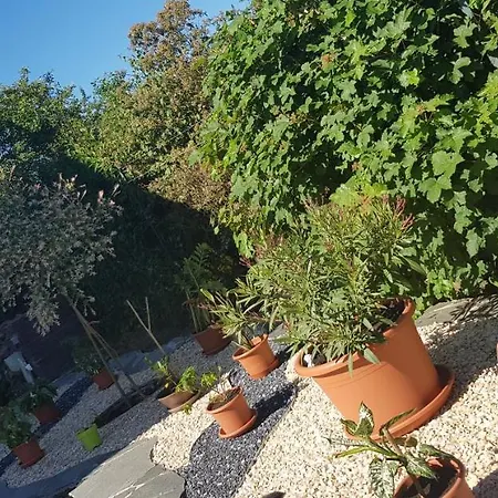 Appartement Ferienwohnung-wald Wald (Baden-Wurttemberg)