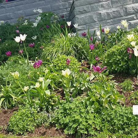 Ferienwohnung-wald Appartement Wald (Baden-Wurttemberg)