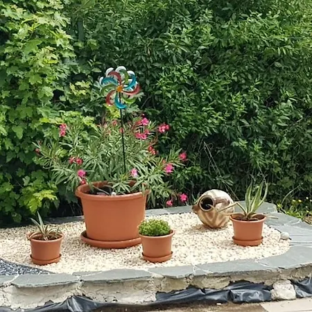 Ferienwohnung-wald Appartement