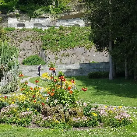 Appartement Ferienwohnung-wald *